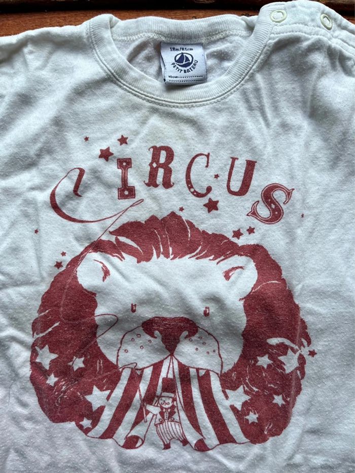 T-shirt Petit Bateau 18 mois - photo numéro 2