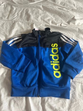 Veste Adidas