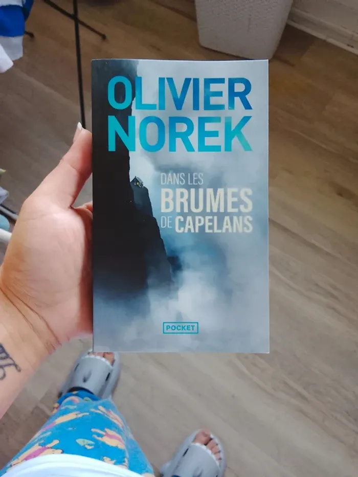 Livre de olivier norek