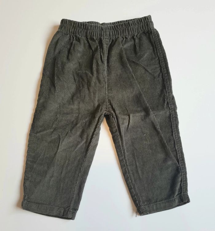 Ensemble renard - photo numéro 3