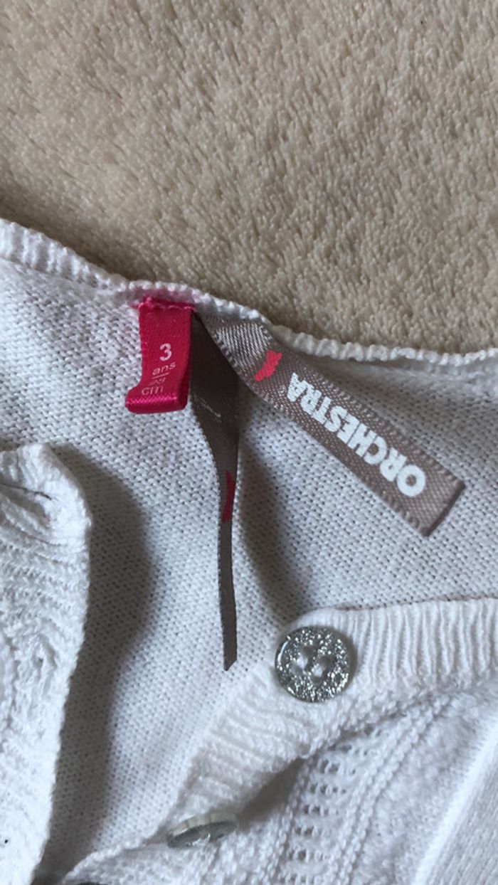 Gilet - photo numéro 3