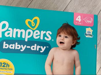 Couche Pampers babydry