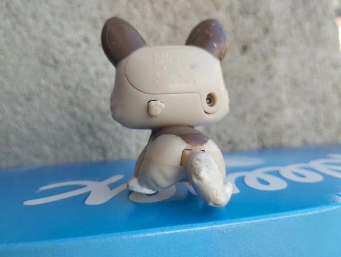 Petshop trotteur chien - photo numéro 2