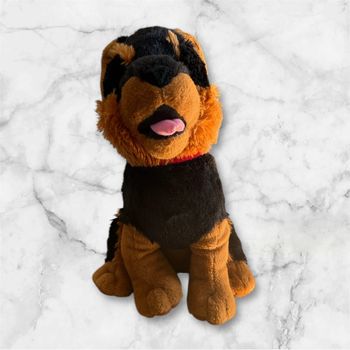 Peluche