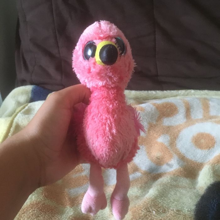 Peluche ty