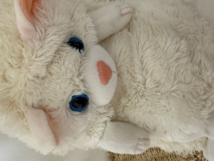 doudou chat persan blanc peluche cali pets dujardin - photo numéro 1
