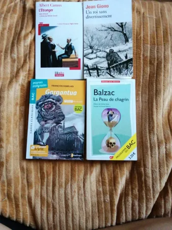 Different livre