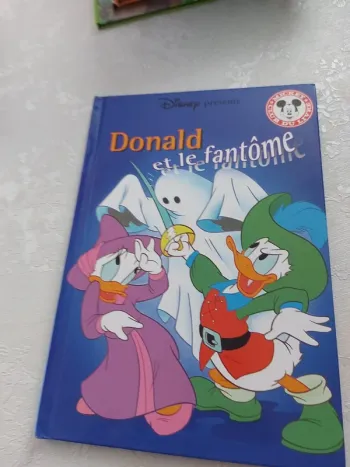 Livre Disney Donald et le fantôme