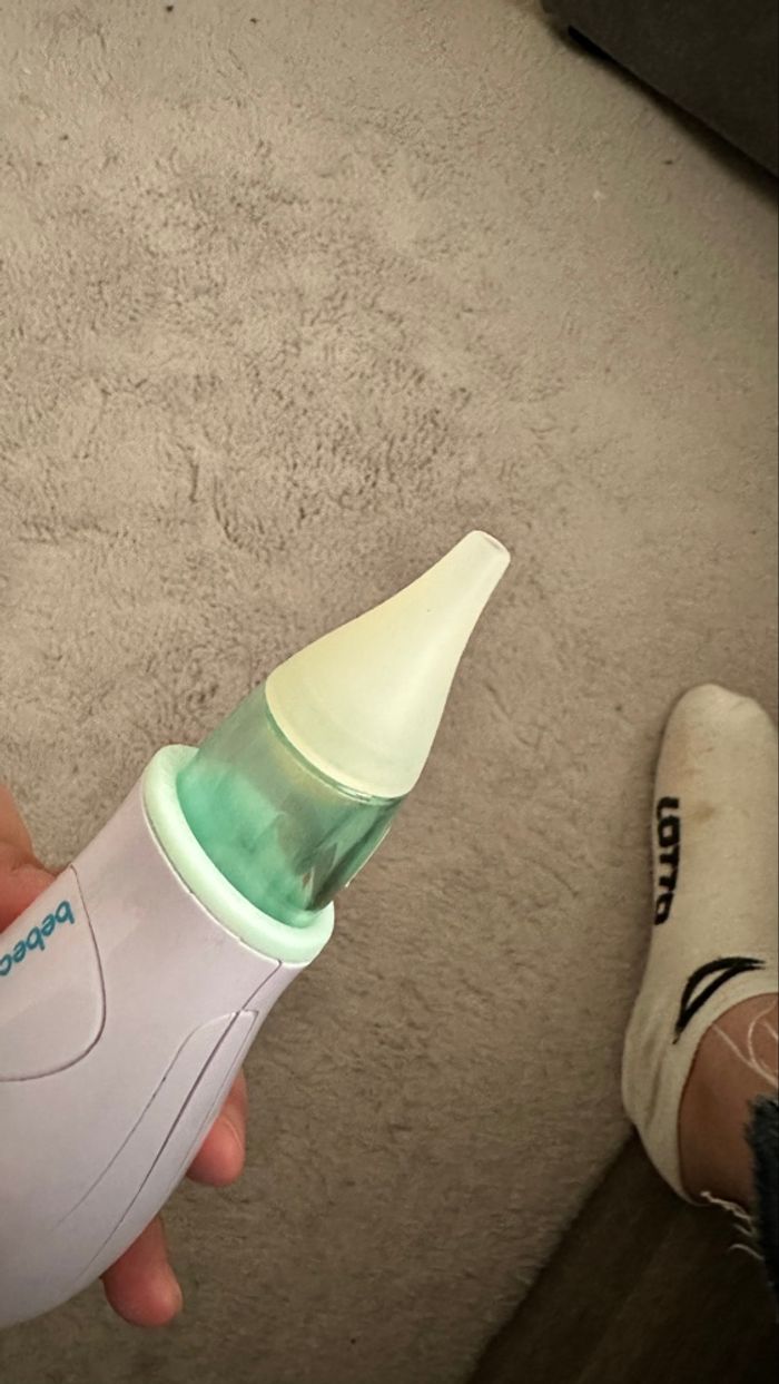 Mouche bébé - photo numéro 3