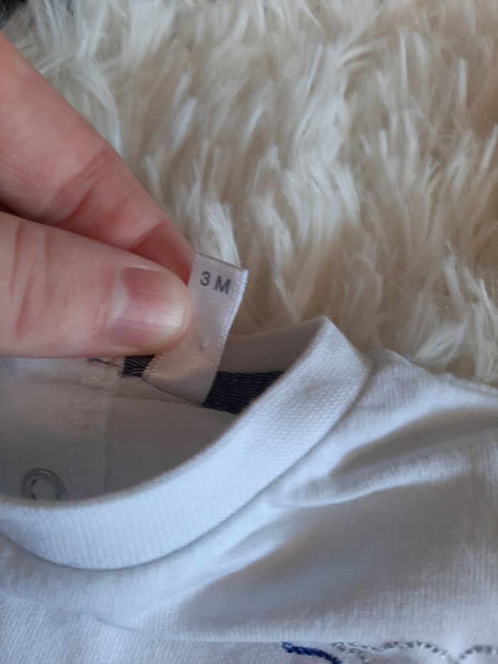 Haut dinosaures - photo numéro 5