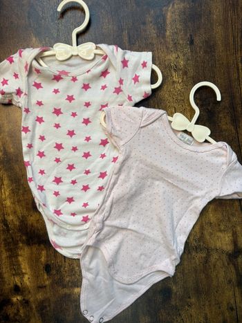 Lot 2 bodies 3m