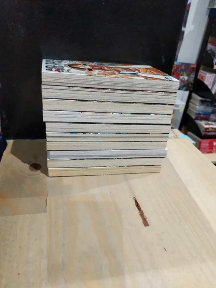 One Piece – Tomes 2 à 10 + Tome 15 - photo numéro 4