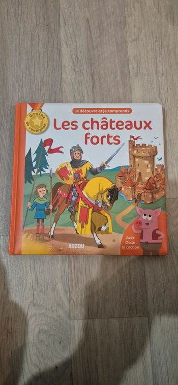 Livre - je découvre et je comprends les châteaux forts