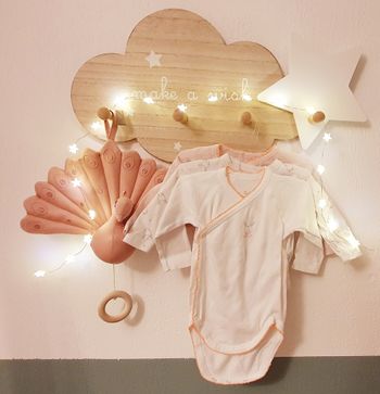 Lot de trois bodies 3 mois fille