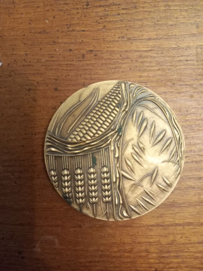 Médaille bronze - photo numéro 2