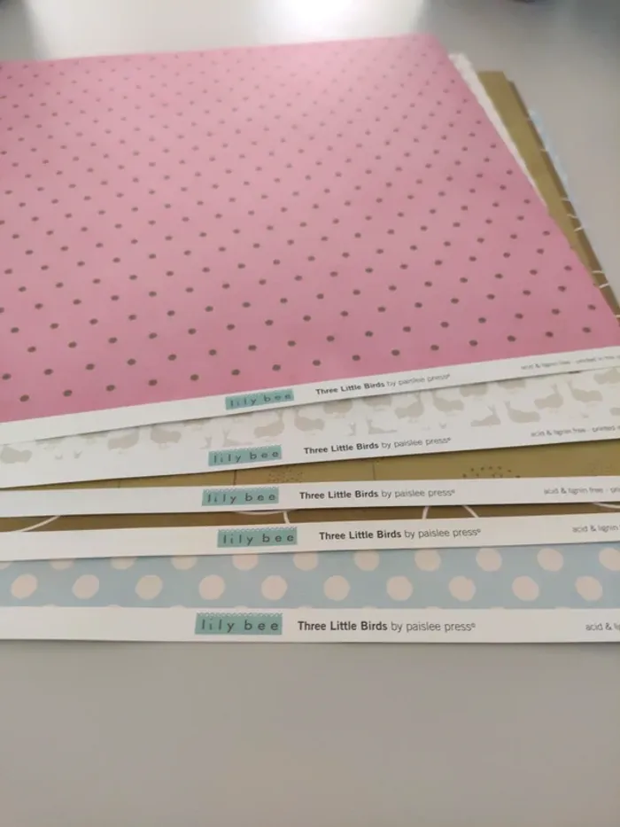 Papiers pour loisirs créatifs - photo numéro 12