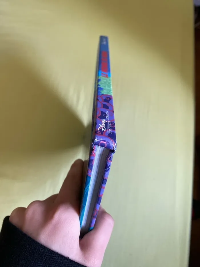 livre disney - photo numéro 4