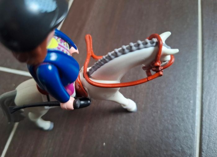 Lot equitation Playmobil - photo numéro 3