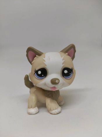 Little Petshop LPS chien husky 1817 dog #geektradelpschien