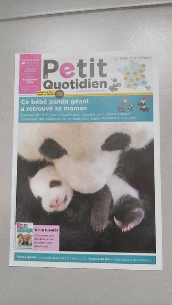 Le petit quotidien Panda