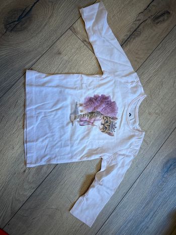 T shirt chaton