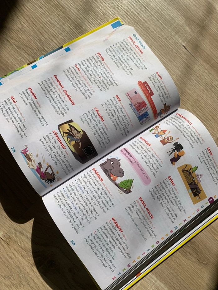 Dictionnaire - photo numéro 3
