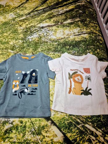 Lot de 2 tee-shirts