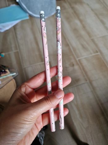 Lot de deux crayons de bois licorne