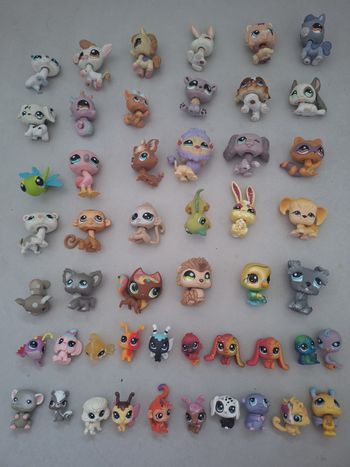 Lot 50 petshop numero 1