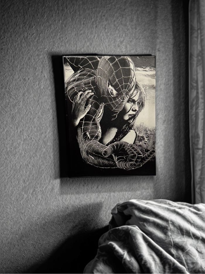 Tableau Spider-Man protecteur toile 30x40cm – scène culte - photo numéro 2