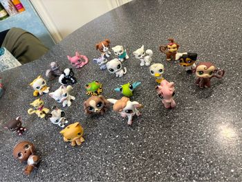 Lot pet shop