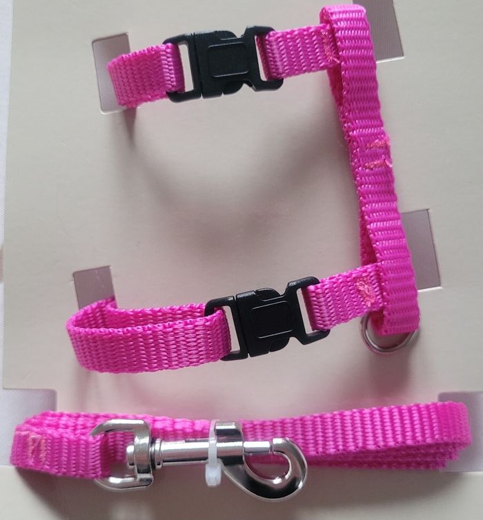 Laisse + harnais petits animaux - photo numéro 6