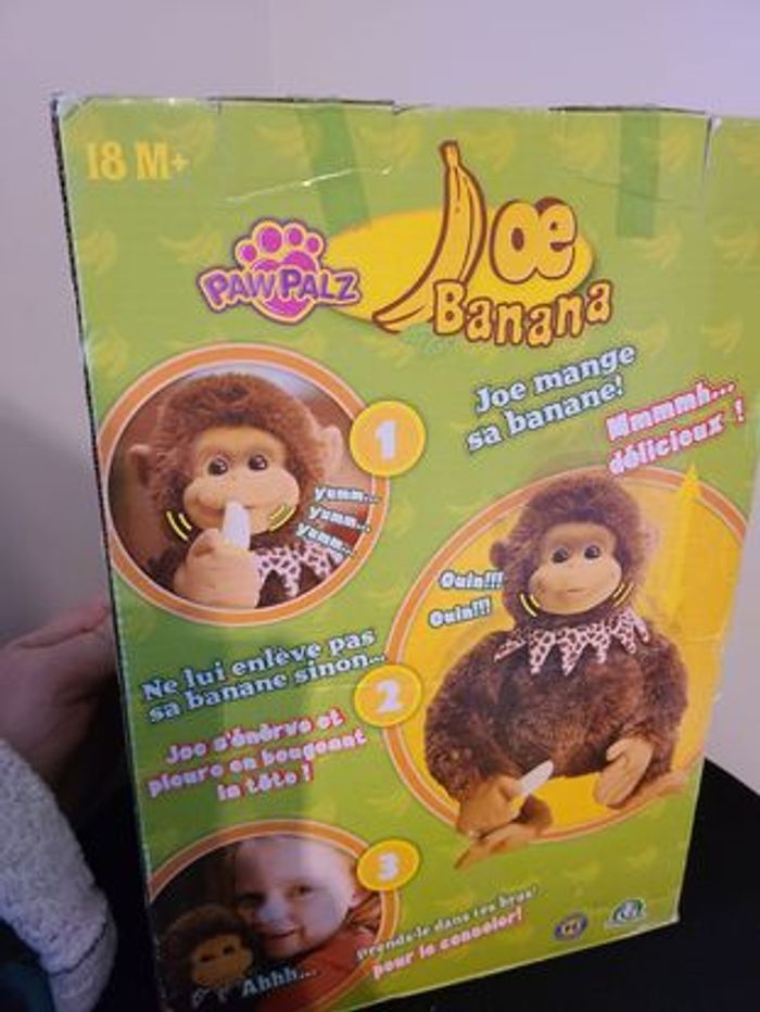 singe interactif - photo numéro 3