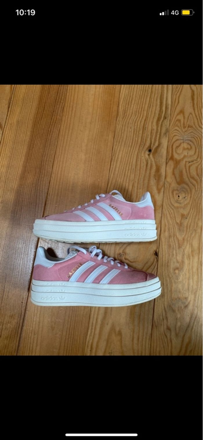 Gazelle