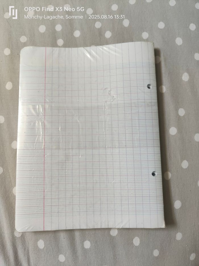 200 feuilles simples seyès 90g petit format carrefour Réduction jusqu'à -70%