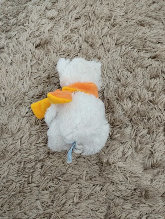 Ours polaire - photo numéro 3