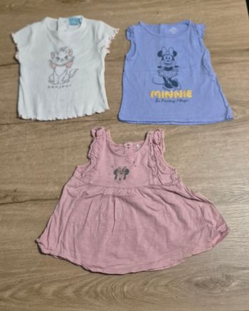 Lot t-shirts MC Disney 18 mois 