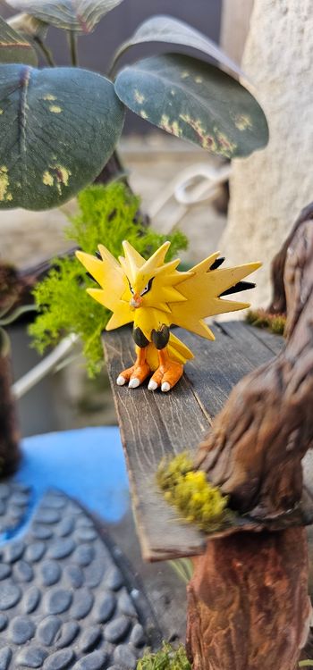 Super figurine Pokemon Nintendo tomy C.G.T.S.J Elector