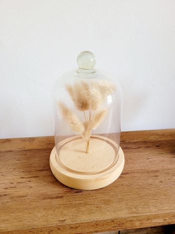 Cloche en verre Atmosphera