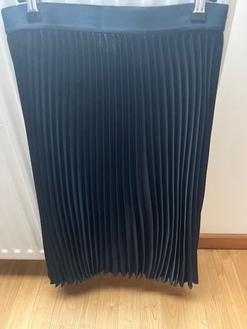 Magnifique jupe plissée