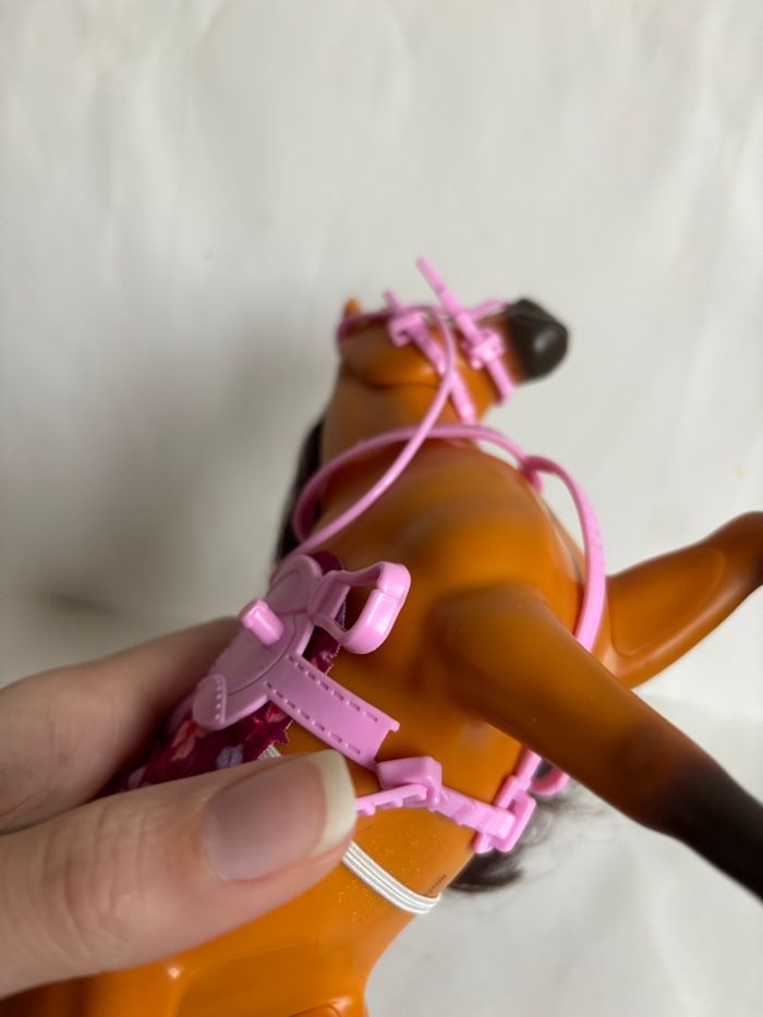 Cheval Spirit - photo numéro 4