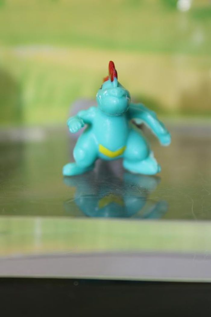 Pokemon Aligatueur - photo numéro 5