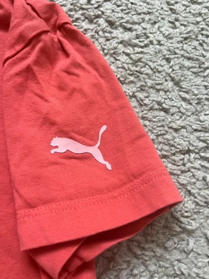 Tee shirt - photo numéro 3
