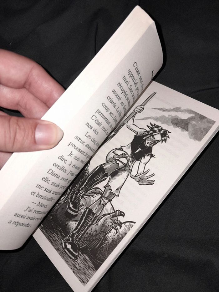 Livre perdu chez les dinosaures - photo numéro 5