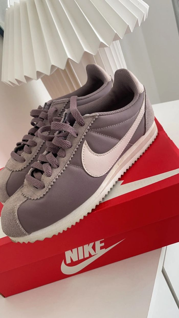 Cortez violet et rose