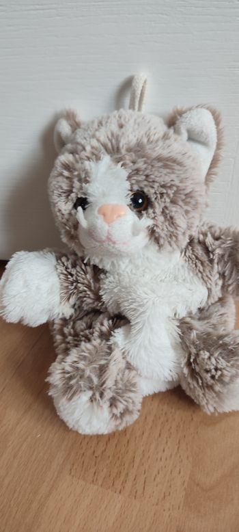 Marionnette chat rodadou