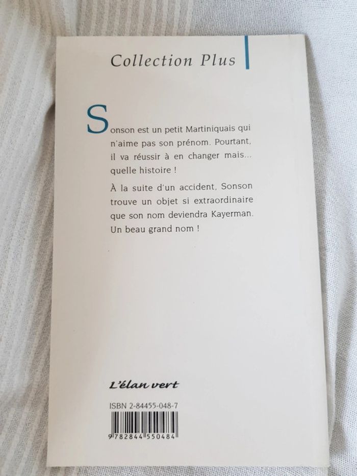 Sonson et le volcan de raymond relouzat - photo numéro 2