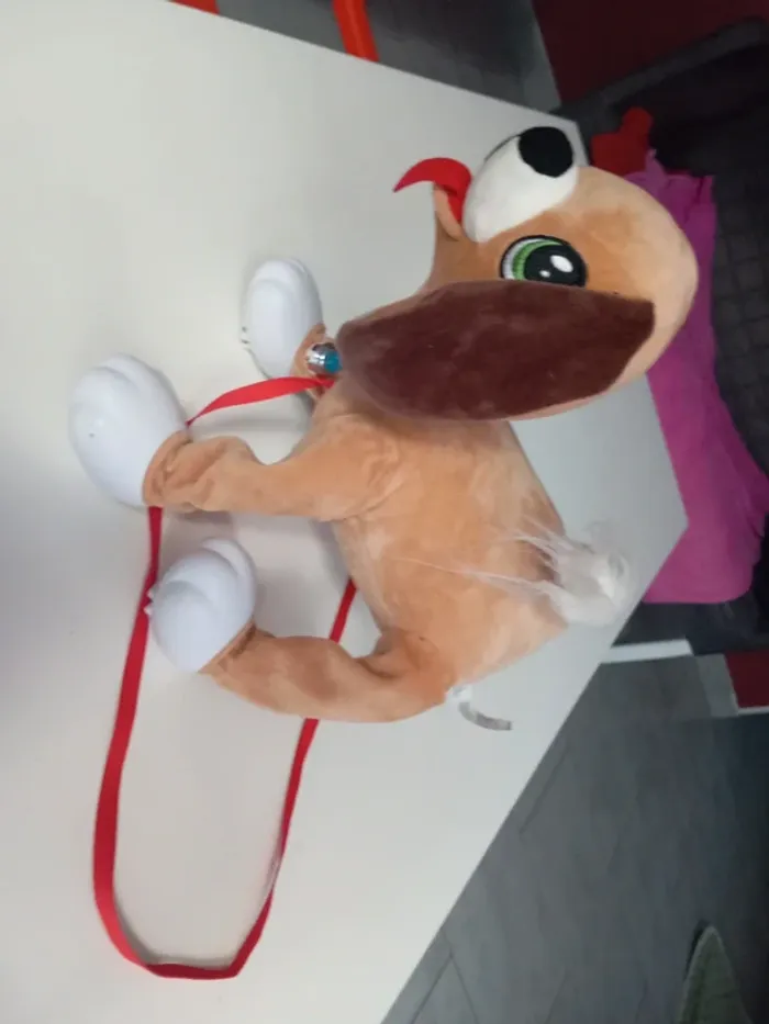 Peppy pups - photo numéro 2