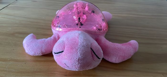 Tranquil turtle - photo numéro 2