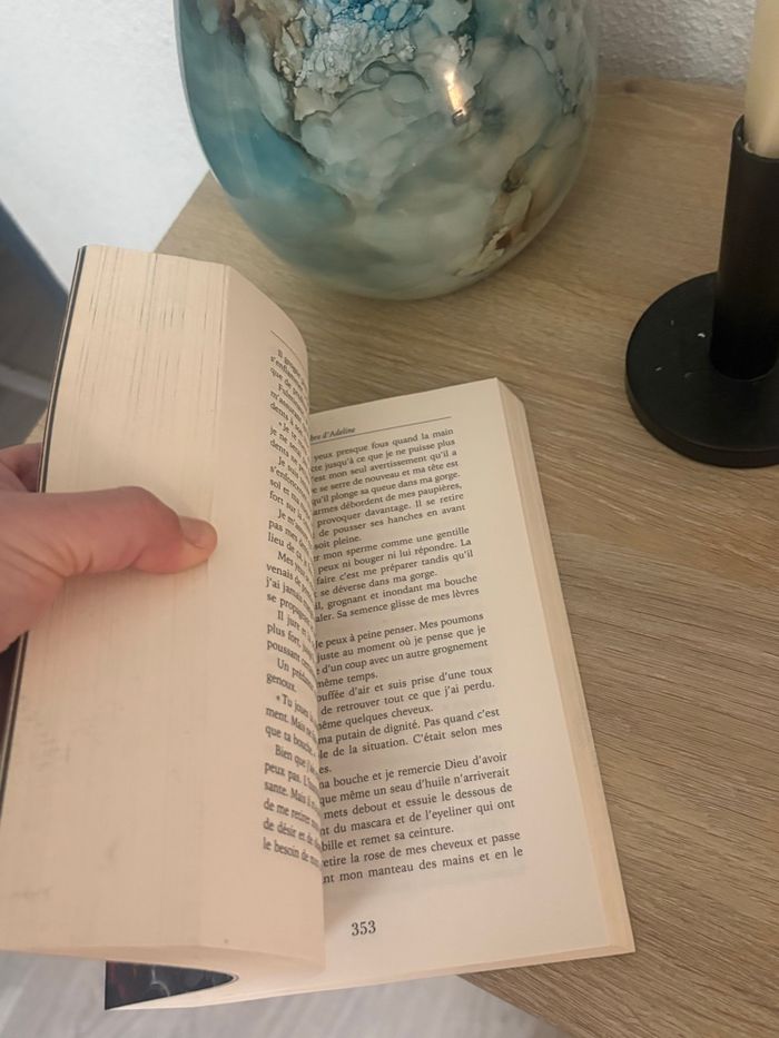 Livre Dark romance l’ombre d’Adeline - photo numéro 3